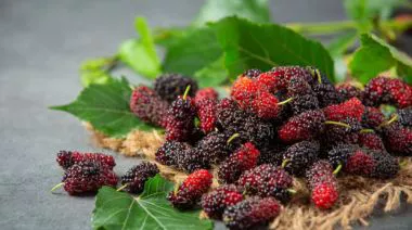 garnishing-instructions-image